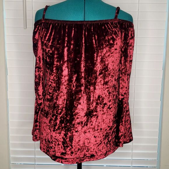 Oxblood Crushed Velvet Peasant Fairy Renaissance Ren Fest Boho Goth Royal Maiden - Picture 3 of 8